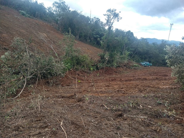 Denúncia leva polícia a flagrar desmatamento em área de 50 mil metros quadrados em Itaboraí